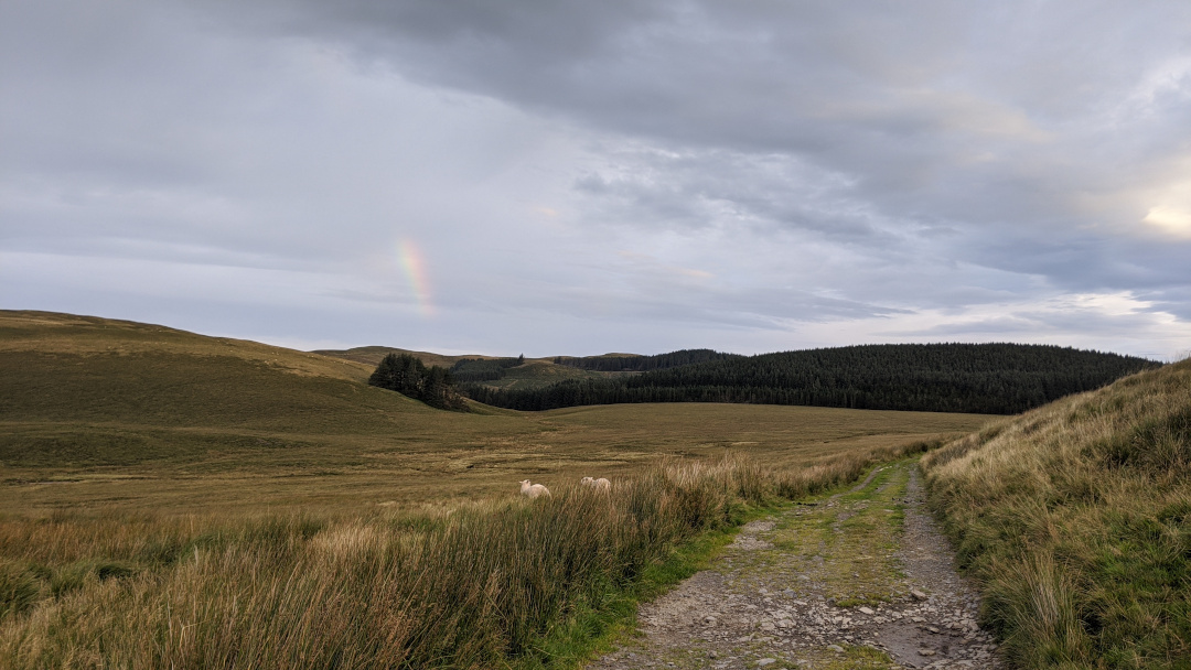 Fields high up in the moors